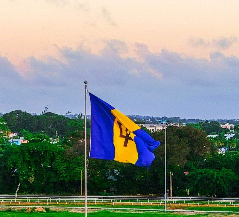 The Garrison Savannah, Barbados